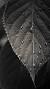 Full Screen Android Mobile Black Hd Wallpaper