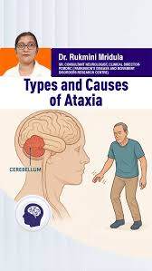Image result for Ataxia