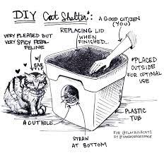 What to look for in a heated outdoor cat house. Cat Winter Shelter Building Workshop Flatbush Cats