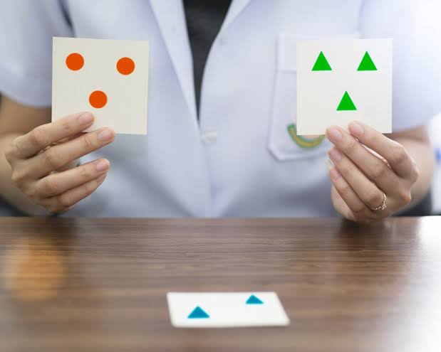 Maestría Internacional en Neuropsicología Clínica, Psicoterapia y Deterioro Cognitivo