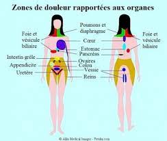Si vous craignez une maladie. Le Mal Au Ventre Dans L 39 Abdomen Superieur Est Situe Entre La Cage Thoracique Et Le Nombril Il Peut Etre Provoque Par Maux De Ventre Douleur Ventre Ventre