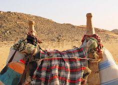 We all know the two parables that title this article. 450 Sword In The Stone Desert First Flight Ideas Sword In The Stone Tuareg People Sword