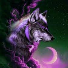 Live wallpaper 2017, convierte tu móvil en el hogar de un feroz lobo nocturno. Lobita Ayk In 2021 Wolf Wallpaper Wolf Spirit Animal Wolf Art