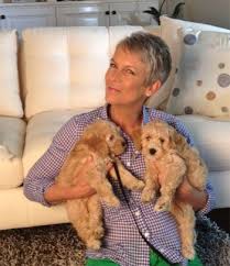 Carolyn is a wonderful dog breeder, she truly cares about her puppies! Sutter Buttes Labradoodles Goldendoodles Northern California Jamie Lee Curtis Jamie Lee Celebrity Dogs