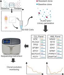 Ling how doong speaks part 1 Jci Insight Lc Facseq Is A Method For Detecting Rare Clones In Leukemia