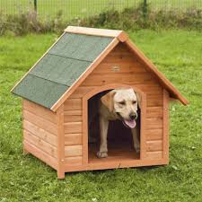 L'huile de pavot pourrait être un produit de niche intéressant. Niche Chalet Chiens Ducatillon