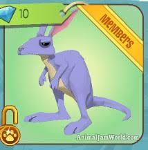 Kangaroo Codes for Animal Jam