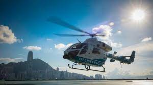 Logos are available for download in vector and raster formats including ai, eps, psd and cdr. ãƒ•ãƒ©ã‚¤ ãƒ€ã‚¤ãƒ³ ã‚¶ ãƒšãƒ‹ãƒ³ã‚·ãƒ¥ãƒ©é¦™æ¸¯