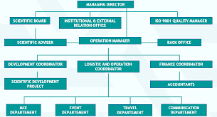 Organization Chart Devital Service Training Center