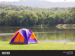 It's important to ensure that we can all enjoy the new forest for generations to come by safeguarding and supporting the unique habitats and landscapes of the area. Dome Tents Camping Image Photo Free Trial Bigstock