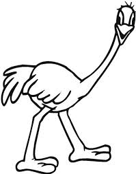 Australia Day A Cartoon Drawing Of Australia Emu On Australia Day Coloring Page Cartoon Drawings Coloring Pages Australia Day