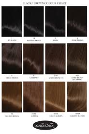 Shades Of Black Hair Color Chart Find Your Perfect Hair Style