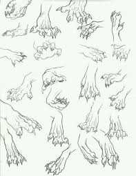 Draw Hand Paws Animal Drawings Anatomy Reference Dragon Drawing