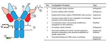 The od 600 of bacteria was 0.8, which means the number of bacteria cells was about 6.34 × 10 7. Creative Biolabs Has Over A Decade Of Working Experience In Antibody Design And Modification To Fit Various Bio Conjugat Click Chemistry Work Experience Design