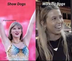 Brandon Kellogg Outdoors (@bkoutdoors) • Instagram photos and videos