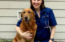 We did not find results for: Courtenay Animal Hospital 2265 N Courtenay Pkwy Merritt Island Fl 32953 Yp Com