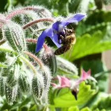 For an attracting accent to your garden, consider adding a bee or insect hotel. Five Tips For Pollinator Garden Success Homemade Food Junkie