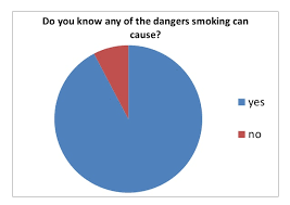 Pie Chart Questionnaire Results