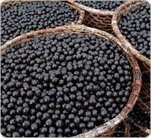 Acai Bienfaits Poids Preparation Posologie Utilisation