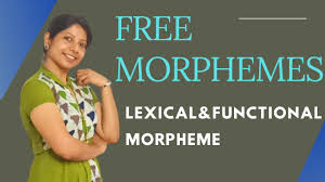 This sometimes parallels the bound/free distinction, but is of the morpheme is the minimal meaningful. Free Morphemes Lexical Morphemes Functional Morphemes Grammatical Morphemes Youtube