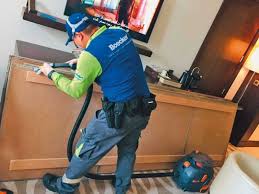 We provide the best professionals for your job to be done with our experience in providing pest control dubai for over 10 years, we ensure that our workers receive trainings time by time in order to polish their skills and motivate them towards their job. Ultimate Survivor Are Cockroaches In Uae Resistant To Pesticides Uae Gulf News