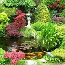 Hermoso Jardin Japones Japanese Garden Japanese Garden Plants Japanese Garden Design