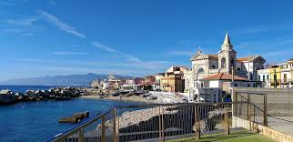 Image result for Memecylon torrei