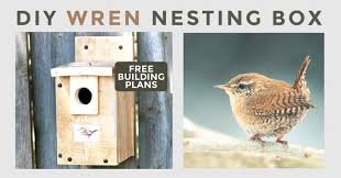 The fifth baby died yesterday, i think the parents keep returning and calling for it. Make A House Wren Nesting Box Free Plans