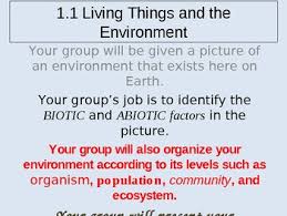 Biotic And Abiotic Factors Worksheet Answer Key Biotic Vs Abiotic Group Activity Power Point Abiotic Biotic Group Activities