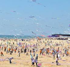 Image result for Gleichenia elongata