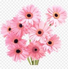 Find images and videos about pink, food and aesthetic on we heart it . Flowers Pink Tumblr Vaporwave Aesthetic Clip Freeuse Vaporwave Flower Aesthetic Png Image With Transparent Background Toppng