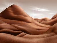 Carl Warner Google Search Veggie Art Carl Warner Food Art