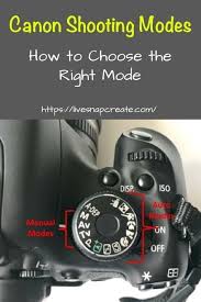 Dangerous Dslr Camera For Beginners Learning Dslrphotographer Photographygearhowtouse Canon Dslr Camera Dslr Photography Dslr Photography Tips
