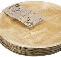 Sugarcane Waste Eco Friendly Plates