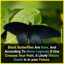 Pin By Alizay Khatri On Facts In 2020 True Interesting Facts Did You Know Facts Psychology Fun Facts