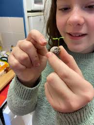 We are long time lurkers and first time posters.. my daughter has been  planting seeds and pips for a long time and we have given apple trees and  cherry trees to family