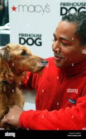 Firehouse dog hi-res stock photography and images