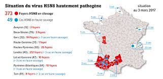 Le virus de la grippe aviaire continue de circuler activement. Grippe Aviaire Apres L Abattage De 4 Millions De Palmipedes Les Mesures De Biosecurite L Humanite