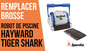 Comment Remplacer La Brosse Du Robot Hayward Tiger Shark Youtube