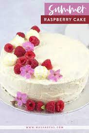 Summer Raspberry Cake Recipe Dessert Cake Recipes Desserts Baking Recipes For Kids