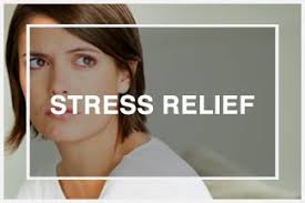 Schedule An Appointment