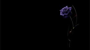 Pretty Black Wallpapers Black background with text overlay, quotation text overlay, quote. pretty black wallpapers