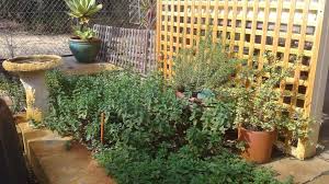 You can donate to cancer council australia online. Cancer Council Wa Milroy Lodge 15 Bedbrook Pl Shenton Park Wa 6008 Australia