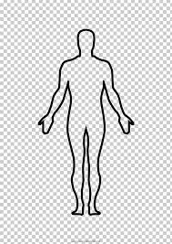 This image demonstrates the blend of mathematics and art during the renaissance and demonstrates leonardo's deep understanding of proportion.in addition, this picture represents a cornerstone of leonardo's attempts to relate man to nature. Thumb Homo Sapiens Human Body Anatomy Drawing Png Clipart 2677557 Png Images Pngio
