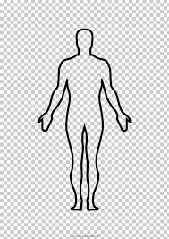 Some people have extra, so make sure you know how that excess is supposed to sit on the body, so that it looks realistic. Thumb Homo Sapiens Human Body Anatomy Drawing Png Clipart Abdomen Anatomy Arm Art Back Free Png