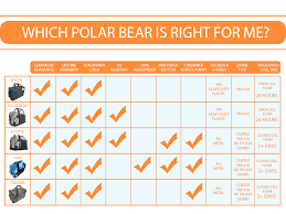 Cooler Comparison Chart Polar Bear Coolers