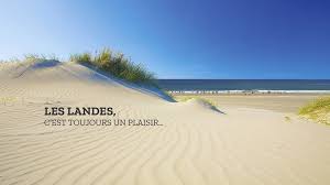 The landes form a large triangle about 220 km long and around a hundred wide, largely made up of an ocean… of forest ! Les Landes Tourisme Et Vacances Photos Facebook