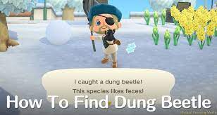 Learn How To Find And Catch A Tricky Winter Dung Bettle Bug Creature In Animal Crossing New Horizons With This Handy Guide Animal Crossing Animals Catch