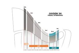 Ogden Complete Set Of Strings