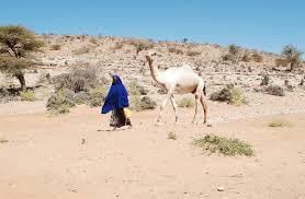 Djibouti, somaliland, somalia, the ogaden in ethiopia and the north eastern province in kenya. Universitat Leipzig Soziookonomische Lage In Somalia